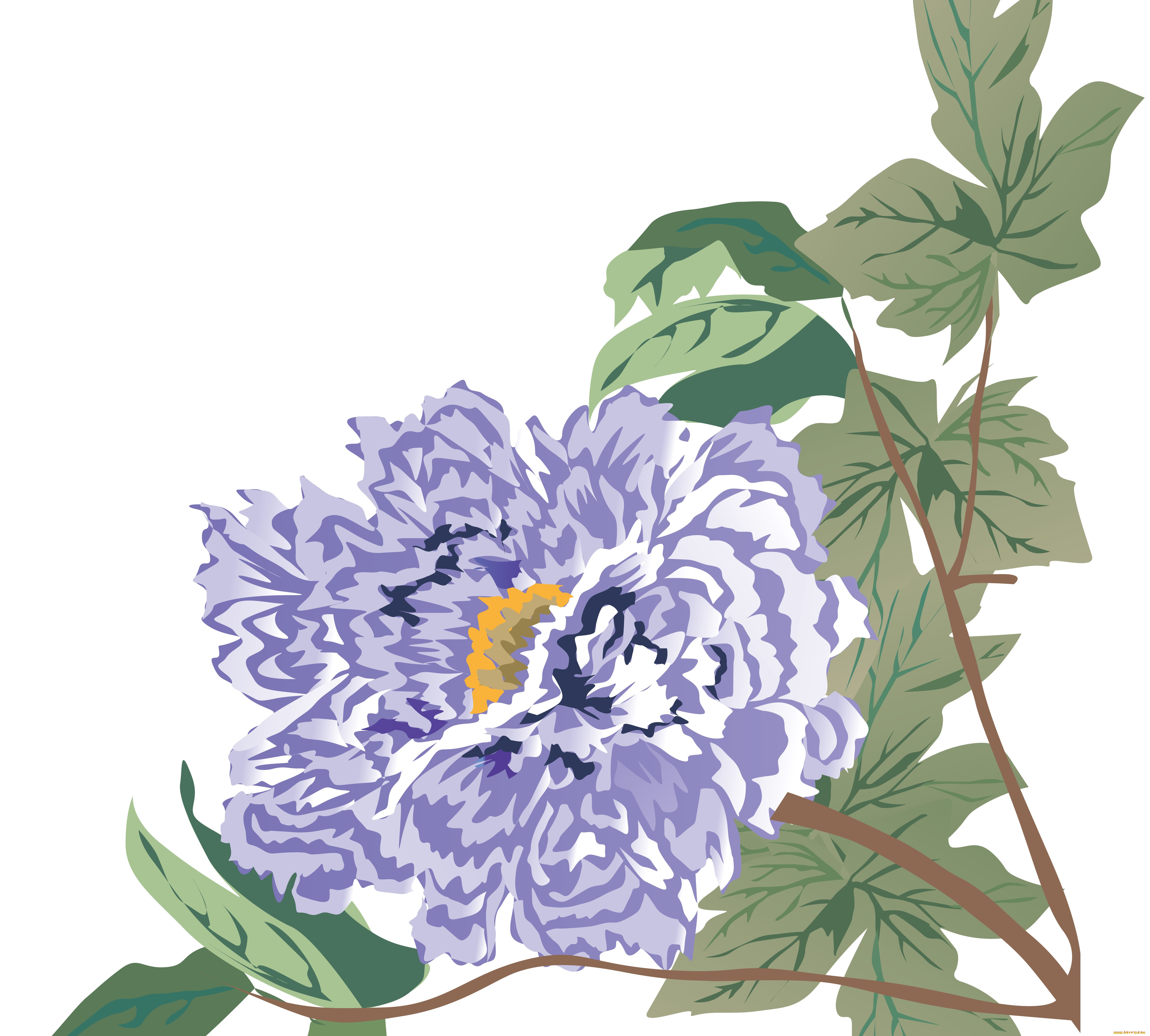  ,  , flowers, , , 